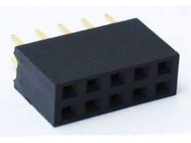 10-way (2 row) female socket 